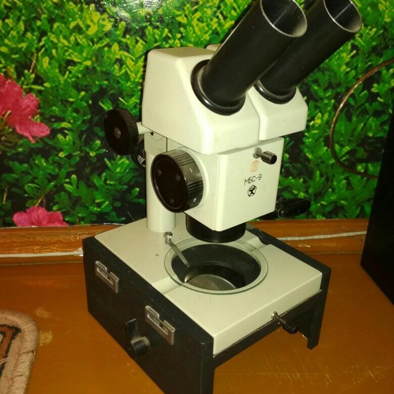 Стереоскопический советский микроскоп. Микроскоп мбс-9 фото. Мбс 9. Мбс 9. Микроскоп советский мбс 9.
