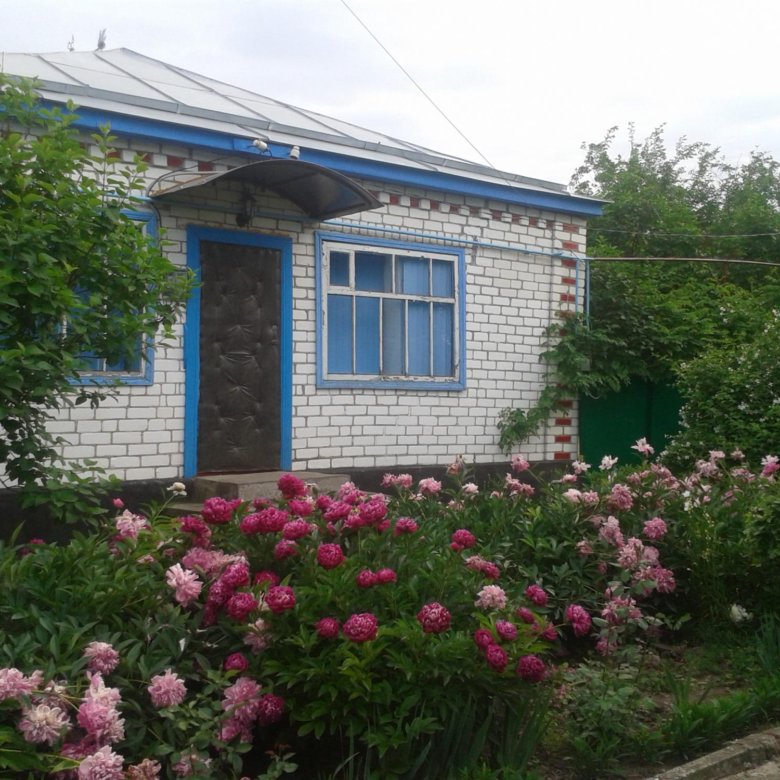 Снять дом в селе ставропольском крае. Донское ставропольский край. станица донская ставропольский край. дом в с. донском ставропольского края труновского района. ходорев донское ставропольский край.