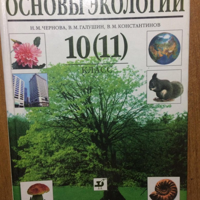 Экология 10 предложений. Экология 11 класс Чернова. Чернова основы экологии. Учебник по экологии 10-11 класс. Экология 10 класс учебник.