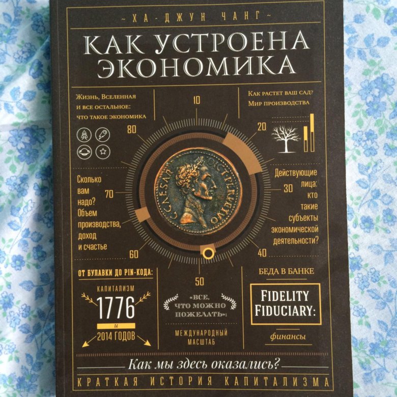 Как устроена экономика. Ха Джун Чанг экономика. Как устроена экономика ха-Джун. Как устроена экономика книга. Как устроена экономика ха-Джун Чанг книга.