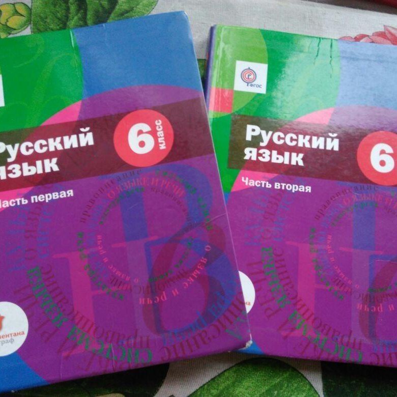 Русский язык 6 шмелев. Русский язык учебник ФГОС. Шмелев учебник 6 класс. Шмелёв русский язык 6 класс учебник. Русский язык 6 класс учебник Шмелева.