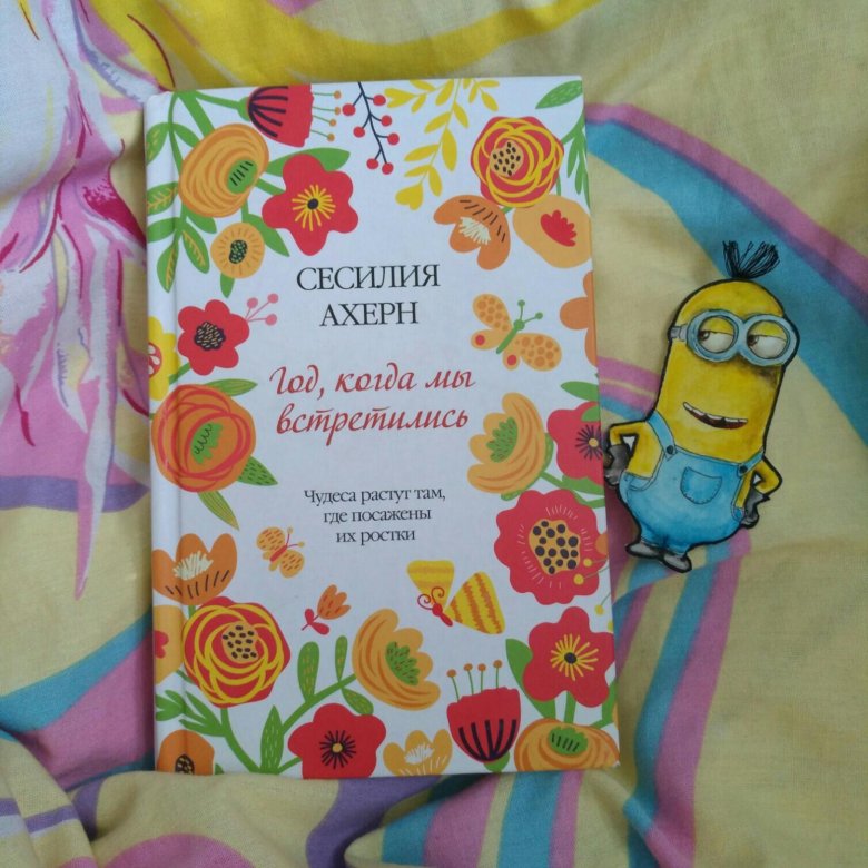 сесилия архен год когда мы встретились