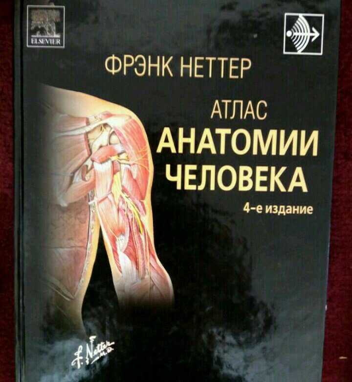 Атлас фрэнк. Фрэнк Неттер атлас анатомии. Атлас по анатомии Неттер 6 издание. Фрэнк Неттер атлас анатомии человека 6 издание. Фрэнк Неттер анатомия.