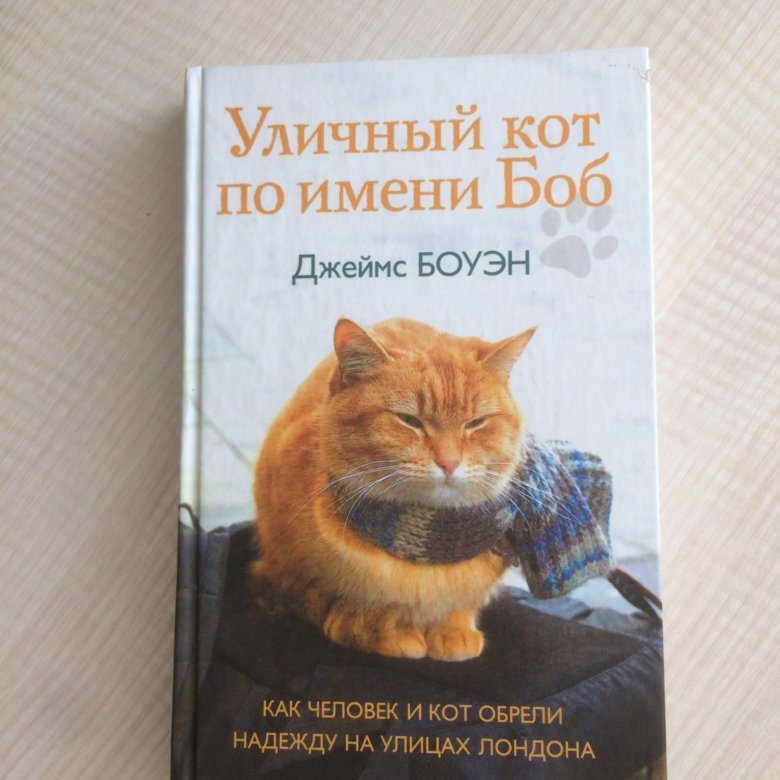 Книга уличный. Боб необычный кот книга. Уличный кот о имени Боб книга.