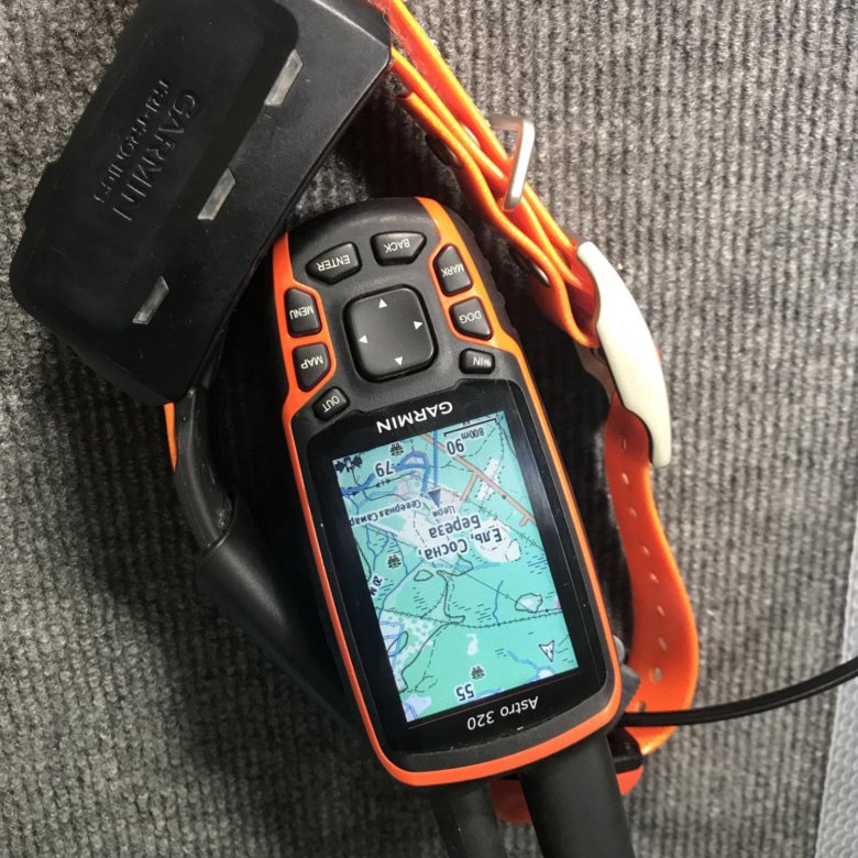 Гармин астро 320 с ошейником. Гармин Астро 320 с ошейником т5. Garmin Astro 320 с ошейником t5. Garmin Astro 320 с ошейником t5 американец. Garmin Astro 320 с ошейником dc40.