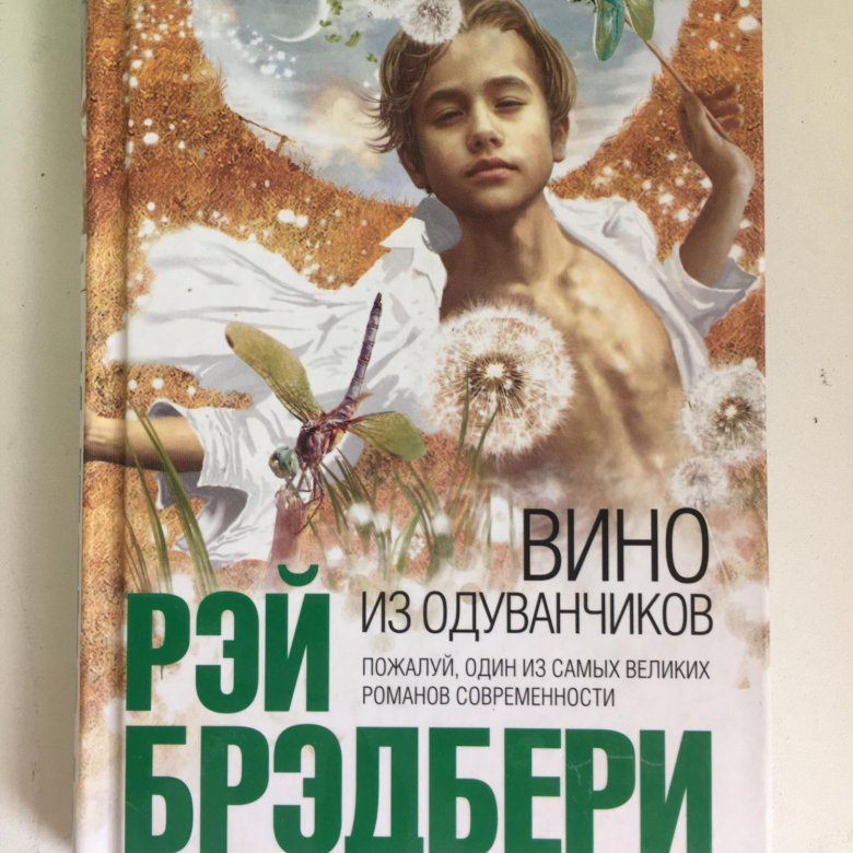 Дети лета книга отзывы