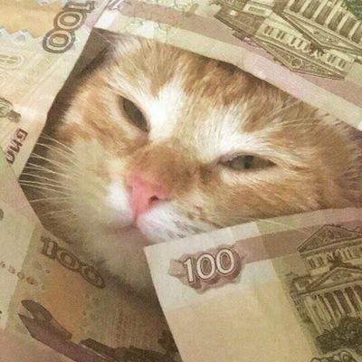 Слушать дай денег. Котик дай денег. Мемы с деньгами картинки. Кот дает деньги Мем. Давай деньги неси.