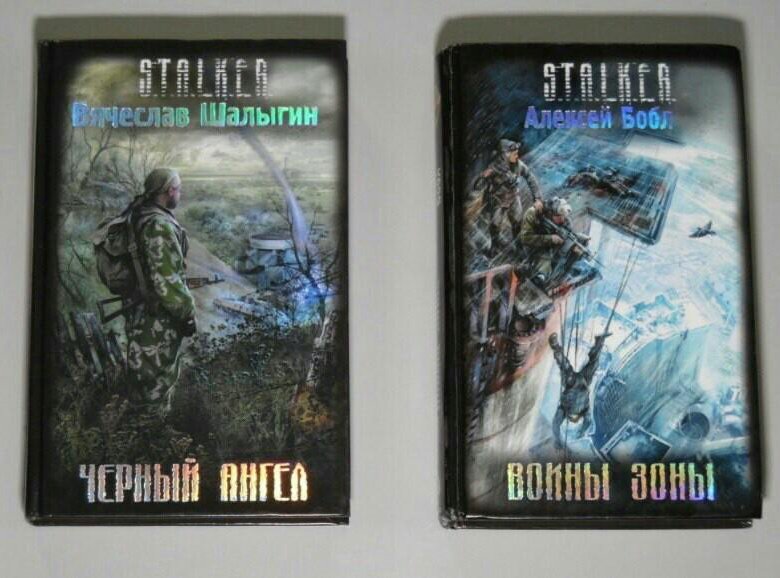 Книга сталкер про химика. Сталкер Химик и Пригоршня. Книги сталкер. S.T.A.L.K.E.R. книга. Коллекция книг сталкер.