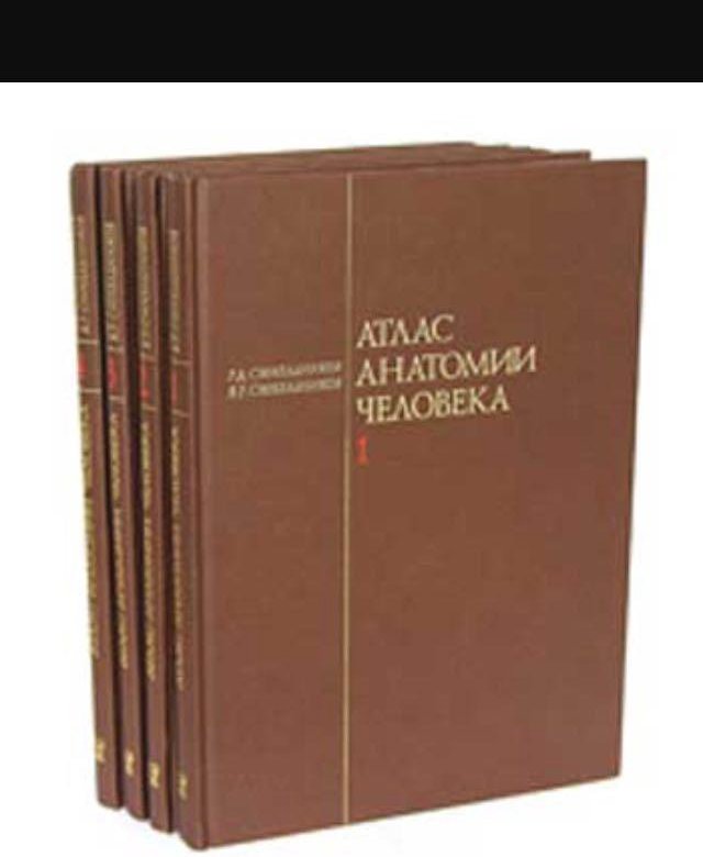 Анатомия синельникова 1 том. Атлас анатомии человека р.д. Синельникова в 4 томах. Атлас анатомии человека 1 том р.д Синельников. Атлас анатомии человека Синельников том 4. Атлас анатомии Синельников 1989 1 том.