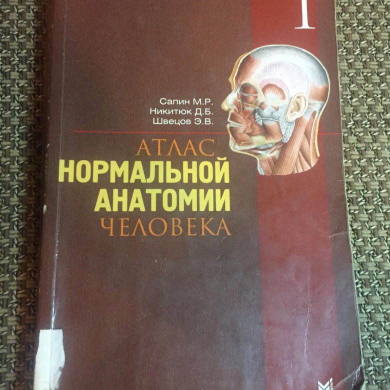 Атлас нормальной анатомии. Атлас нормальной анатомии человека Сапин Никитюк. Анатомия человека атлас Саприн. Анатомия атлас Сапин. Атлас нормальной анатомии человека Сапин м.р Никитюк Швецов.