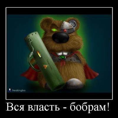 Картинки мальчиком, бобер картинки с надписями