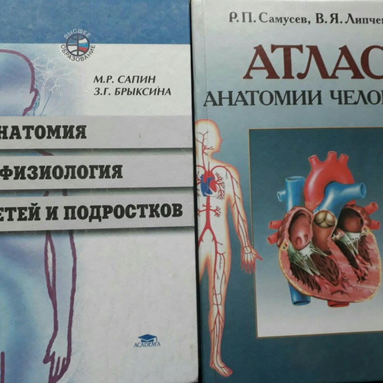 Анатомия человека м.р. Сапин, з.г. Брыксина. Атлас анатомия человека Сапин Брыксина. Самусев Сентябрев атлас анатомии человека. Сапин р м анатомия и физиология человека 1998 год.