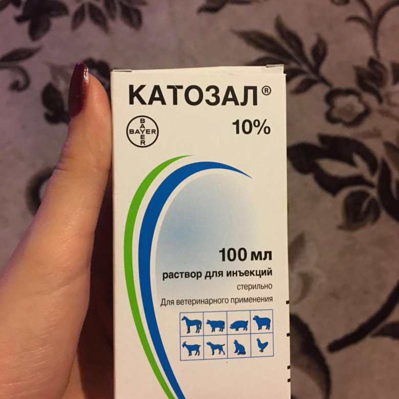 Катозал применение. Катозал. Катозал для животных. Уколы катозал. Катозал Ветеринария