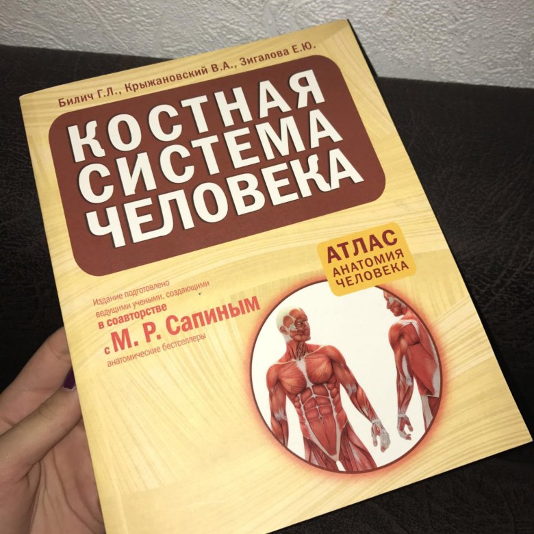 БИЛИЧ КОСТНАЯ СИСТЕМА ЧЕЛОВЕКА СКАЧАТЬ БЕСПЛАТНО БИЛИЧ КОСТНАЯ СИСТЕМА ЧЕЛОВЕКА СКАЧАТЬ БЕСПЛАТНО