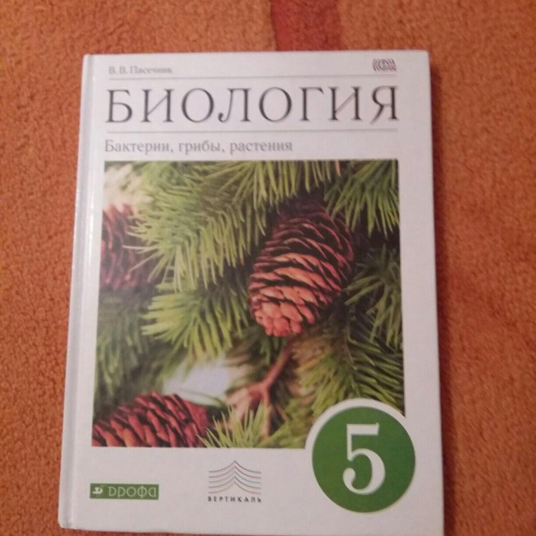 Биология 7 класс учебник пасечник с грибами. Биология 6 класс. Бактерии, грибы, растения. Пасечник. Биология 7 класс Пасечник грибы.