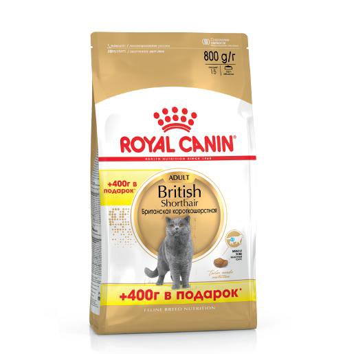 Royal canin british shorthair