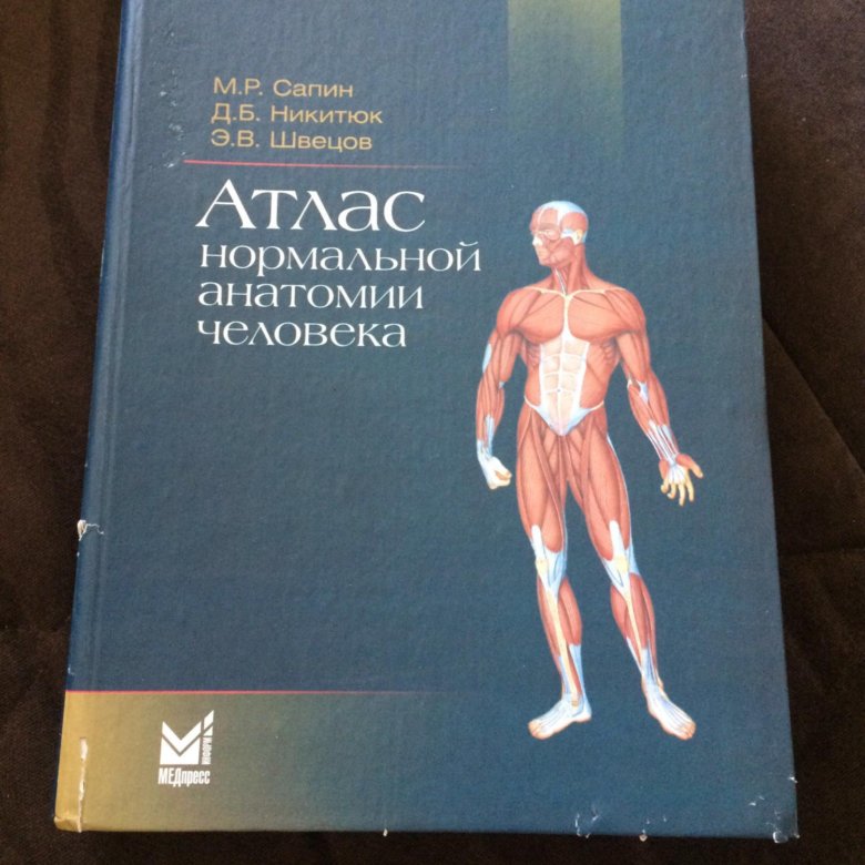 Атлас нормальной анатомии. Учебник по анатомии Сапин. Атлас нормальной анатомии Сапин купить. Атлас по анатомии Сапин 2 том купить. Обожженный атлас книга.