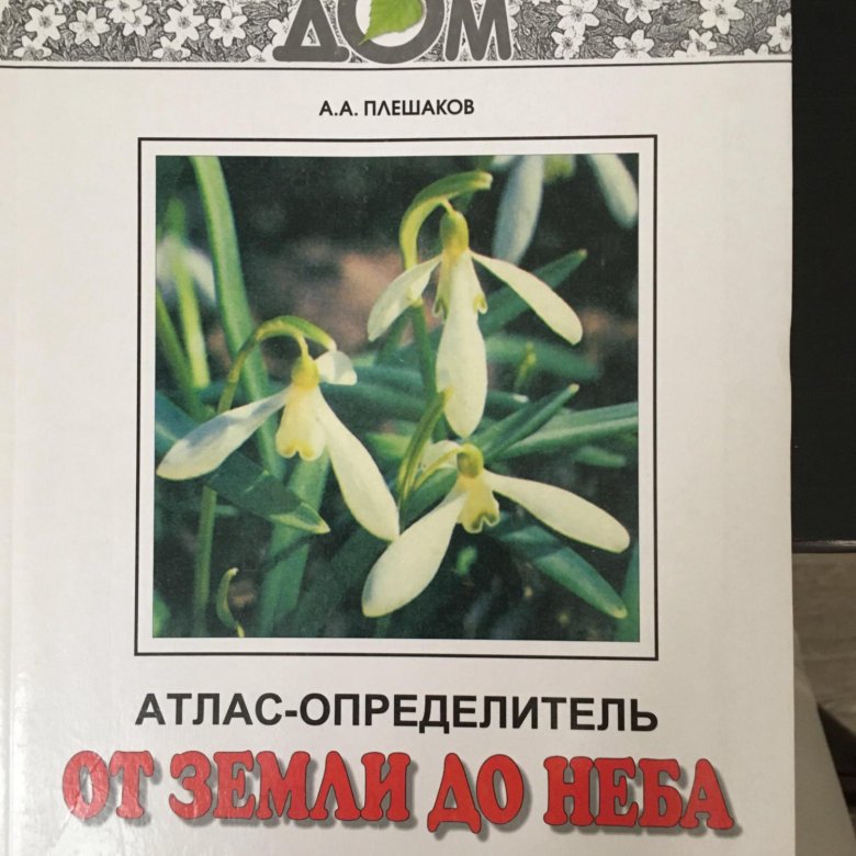 Атлас определитель от земли до неба 1. Атлас от земли до неба 3 с 148.