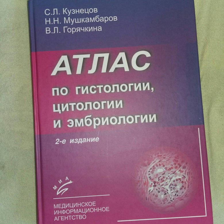 Гистология учебник. Кузнецов Мушкамбаров гистология. Гистология Мушкамбаров учебник. Кузнецов Мушкамбаров гистология учебник. Атлас по гистологии цитологии и эмбриологии Быков.