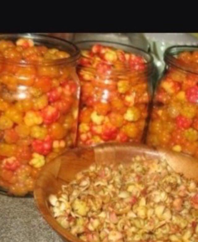 Семечки морошки. Морошка как сохранить на зиму без варки. Морошка с сахаром. Морошка как сохранить на зиму без варки. Таволожная мочёная морошка.