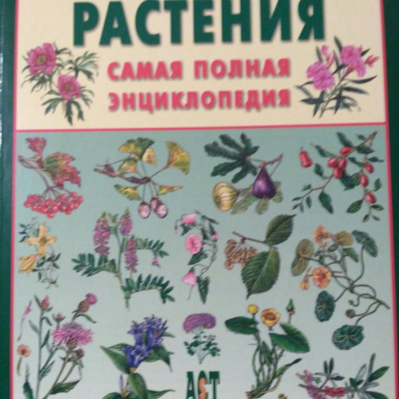 Энциклопедия цветов. Энциклопедия лекарственных растений. Энциклопедия растений книга. Растения. Энциклопедия. Растения. Полная энциклопедия.