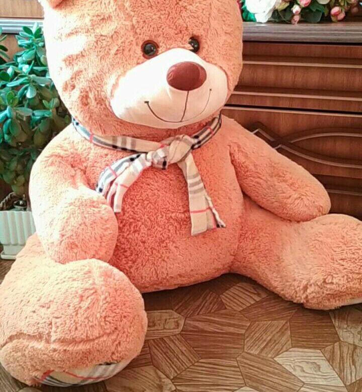 Плюшевая цена. Плюшевые игрушки 500 рублей. Мишка за 500 рублей. Сколько стоит большой плюшевый медведь. Мишка стоит.