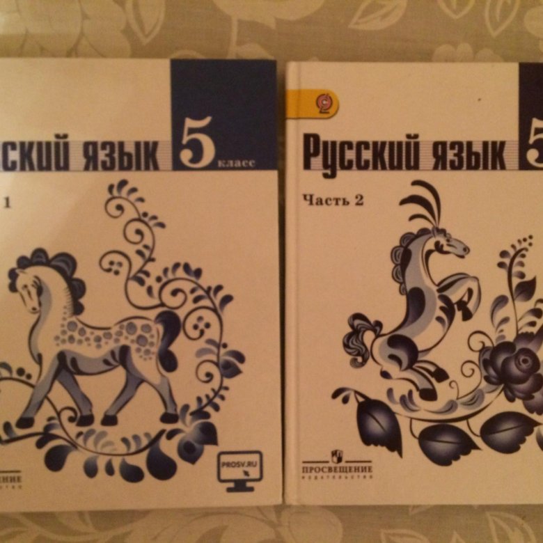 Русский язык 5 класс учебник. Русский язык 5 класс учебник 2011 года. Русский 5 класс учебник. Русский язык 5 класс учебник ладыженская. Русский язык 5 класс учебник ладыженская.