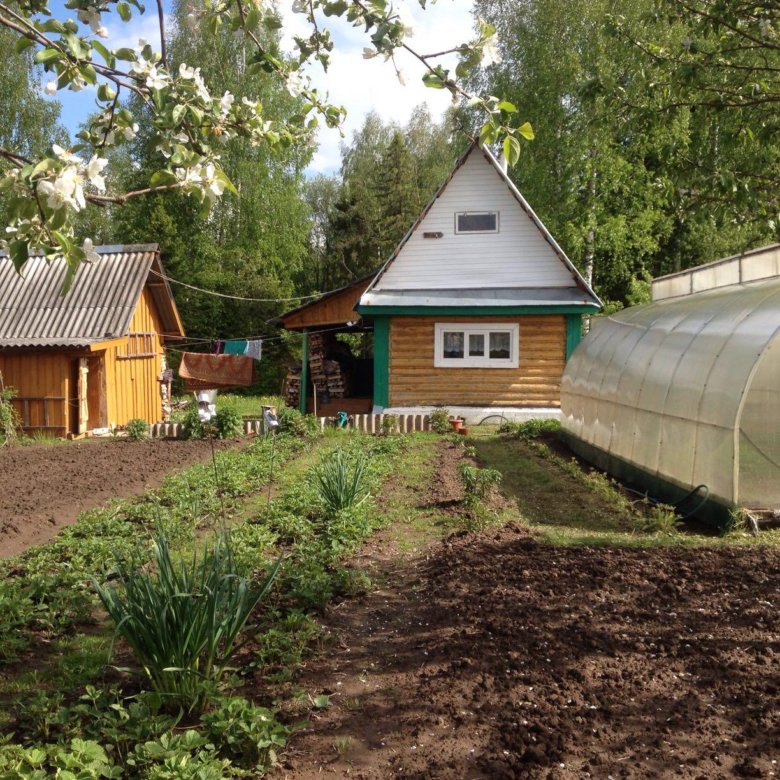 Продаж трактов. Андан садоогород. Огород андан Ижевск. Огород по Шабердинскому тракту. Садоогород фото.