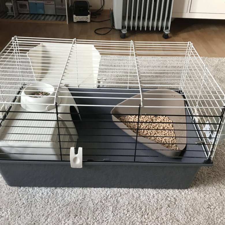 клетка для кроликов. клетка для кроликов ferplast krolik large 100х60х50 см. клетка для декоративного кролика. клетка ферпласт для грызунов 100. клетка данко для кроликов , 590*55*40.