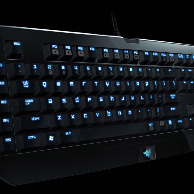 Razer black. Razer BLACKWIDOW 2013 2. Razer BLACKWIDOW 2012. Рейзер Блэк видоу 2013. Razer Black Widow 2015.