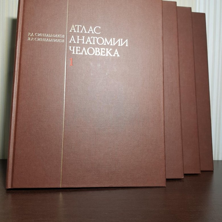 Учебник синельникова по анатомии. Атлас анатомии человека р.д Синельникова в 4 томах. Синельников р д атлас анатомии человека. Атлас анатомии человека Синельников 1989 в 2 томах. Атлас анатомии человека Синельников том 4.