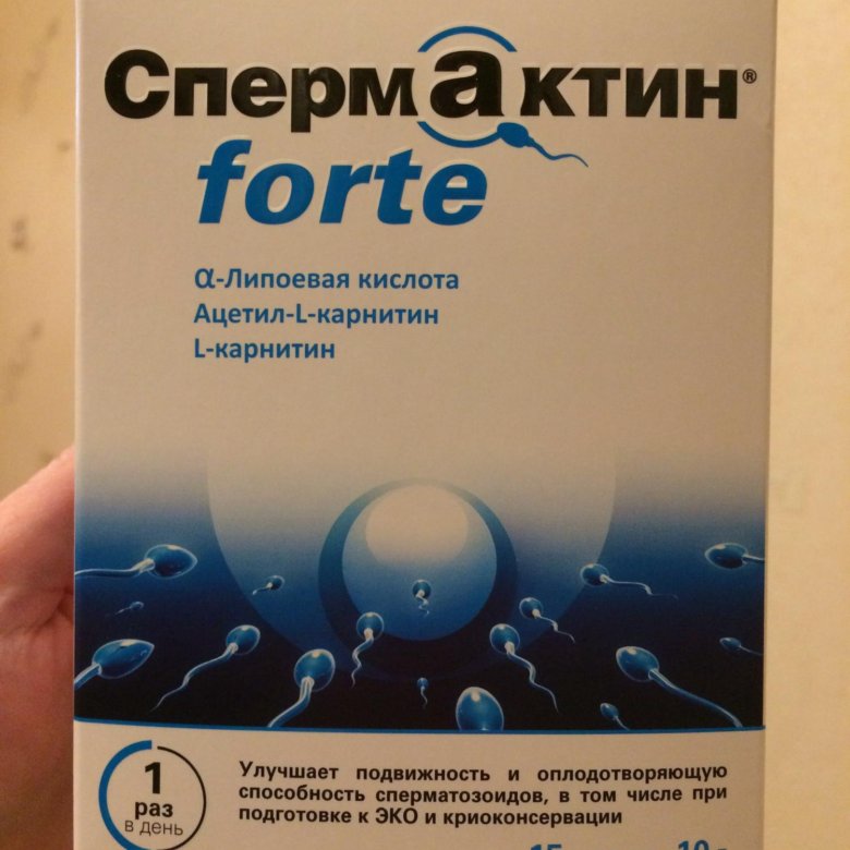 Спермактин форте порошок для приготовления раствора. Спермактин форте порошок. Спермактин таблетки. Спермактин 5 гр. ГАСТРОБИН форте.