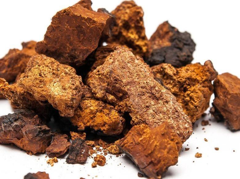 2 чаг. 2 чаг. Гриб чага на березе. Настой чаги. Экстрактивные вещества гриба чаги.