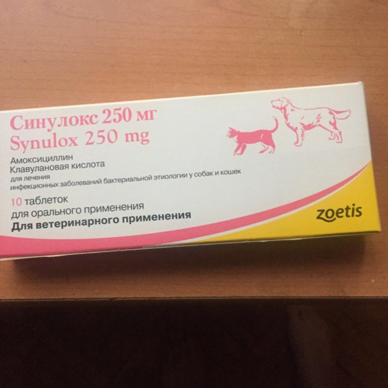Купить синулокс 250 мг для собак. Синулокс 125 мг. Препарат ветеринарный синулокс 250 мг. Синулокс 200. Синулокс для кошек 250мг.