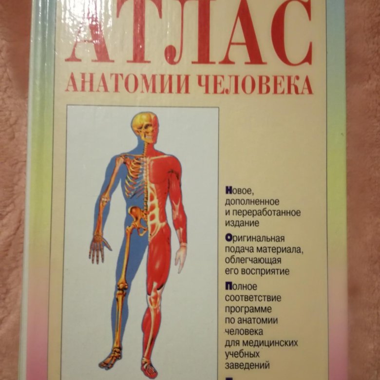 Учебник по анатомии. Анатомия человека учебник. Учебник анатомии для медицинских. Анатомический атлас для медицинских вузов.