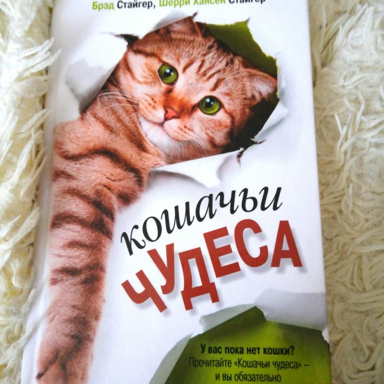 Домашняя кошка книга. Кошачьи чудеса книга. Большая Кошачья книга. Чудо кошка. Книга про кошек розовая мягкая обложка.