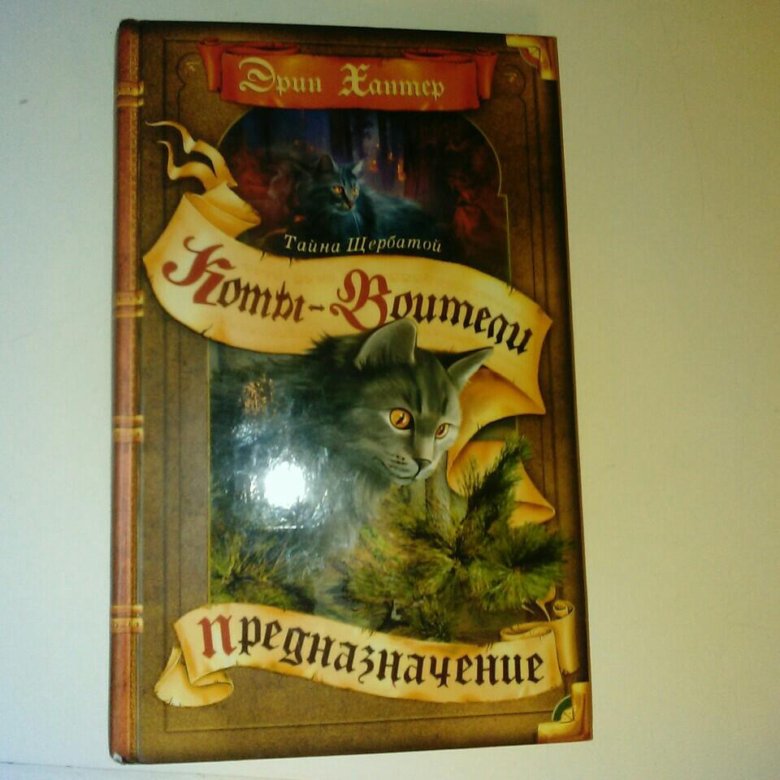 коты воители книга голоса в ночи. книга коты воители голоса в ночи. хантер эрин "голоса в ночи". коты воители книга самая темная ночь. золотая коллекция коты воители,, голоса в ночи.