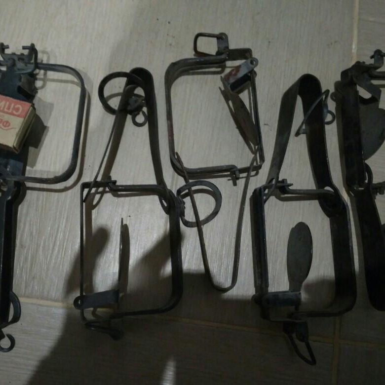 Тропа 43 Интернет Магазин