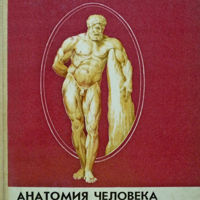 Сапин анатомия человека. Анатомия человека м.р. Сапин, з.г. Брыксина. Сапин м анатомия человека Брыксина. Сапин Брыксина анатомия человека 1995. Книга анатомия Сапина.