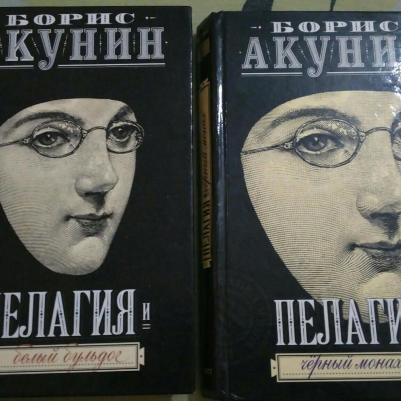 На каких идеях основаны книги акунина. Семейный альбом Акунин книги все