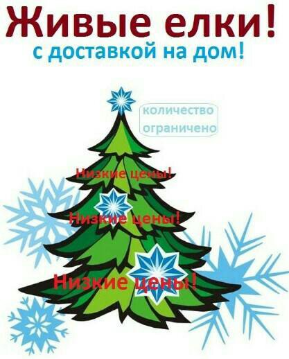 Новогодние Елки От Систем Отопления Новогодние Елки От Систем Отопления