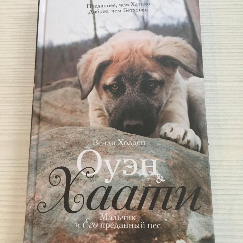 Небесная собака аудиокнига. Мой пес книга. Мой пес книга. Я и мой пес. Мой пёс скип (1999).