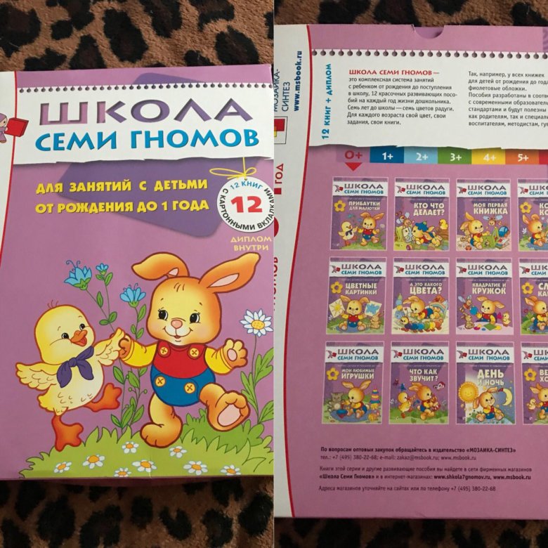 Школа Семи Гномов Официальный Интернет Магазин
