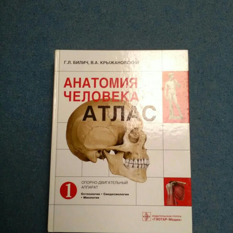 Билич крыжановский анатомия. Атлас анатомии Билич Крыжановский. Билич атлас анатомии человека. Анатомия человека Билич. Билич атлас анатомии пдф.