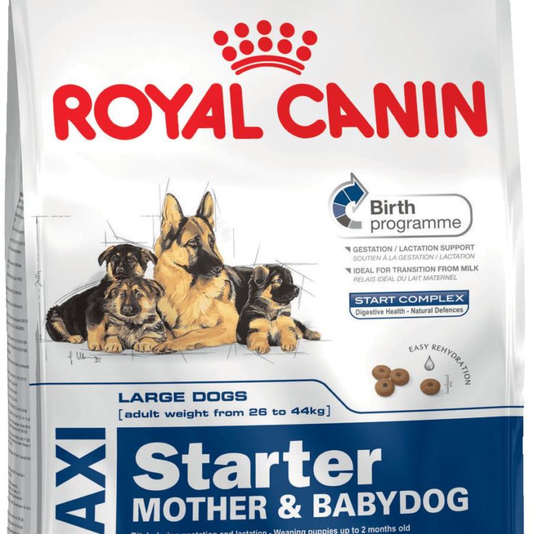 Роял канин 15 кг купить. Royal Canin Maxi Starter (15 кг). Роял Канин макси стартер для щенков. Роял Канин для беременных и кормящих собак. Роял Канин стартер для щенков крупных пород собак 18.