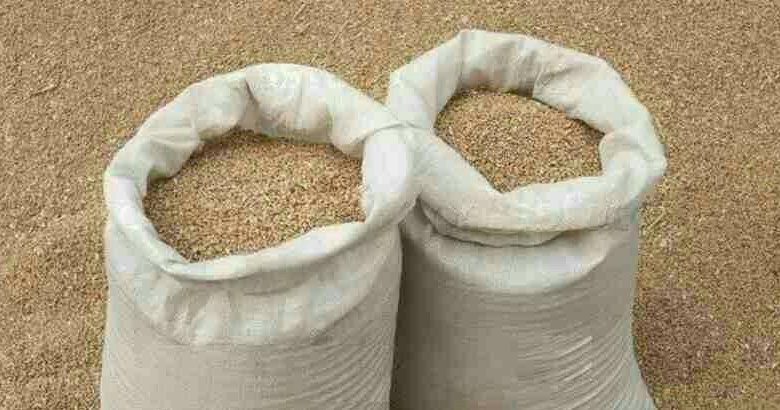 Мешок овса. Тонна ячменя в мешках. Мешок с зерном. Мешок с зерном. Зерно в мешках склад.