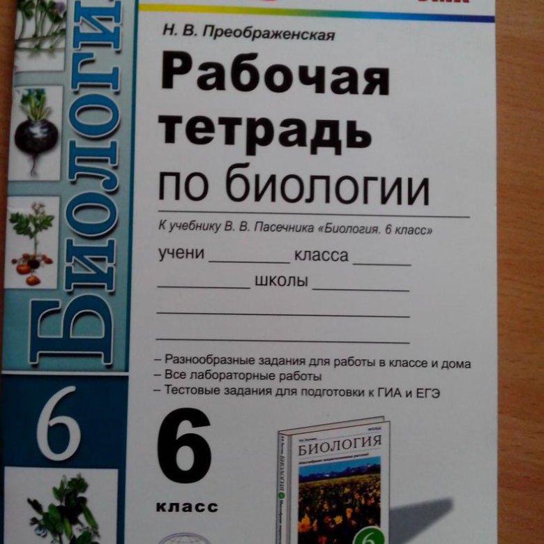 Биология 6 класс рабочая тетрадь 2025 года. Биология 6 класс рабочая тетрадь 2025 года