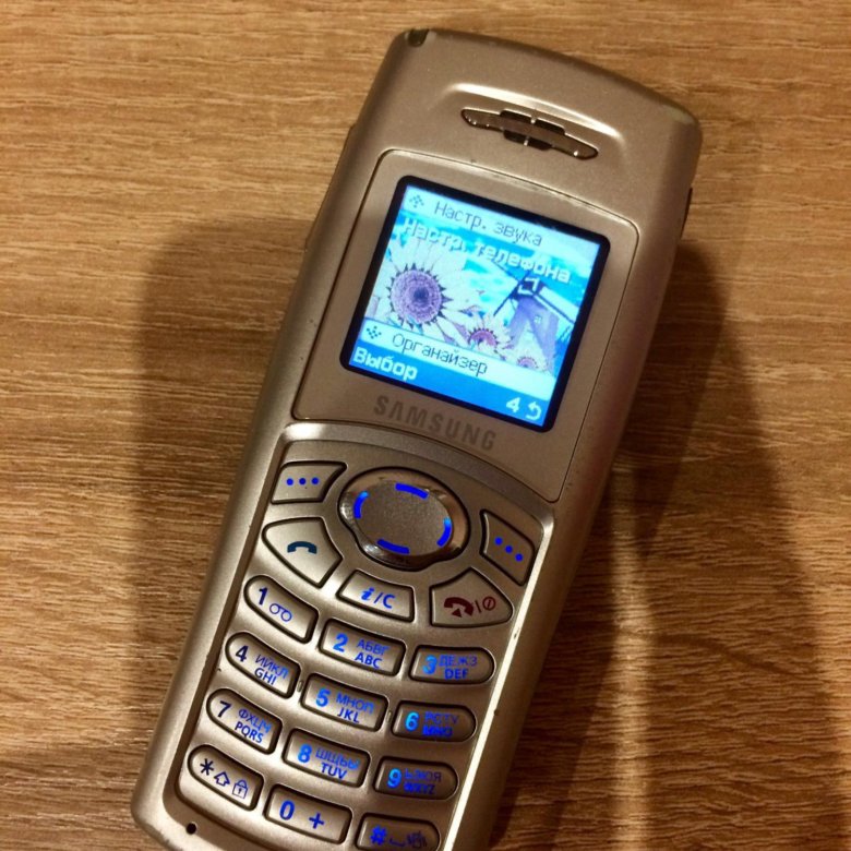 S100 телефон. Самсунг SGH c100. Телефон Samsung SGH-c100. Samsung SGH c100 2003. C 100 Samsung c100.