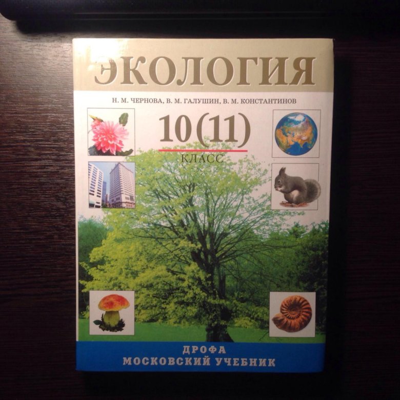 Проект по экологии 10 11 класс