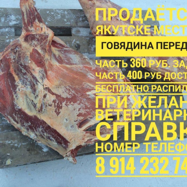 Объявления продам мясо. Объявление о продаже говядины. Мясо объявление. Объявление о продаже мяса говядины. Продаётся мясо говядины объявление.